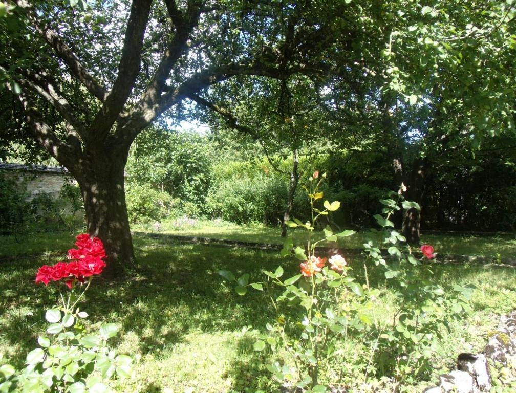 Le Grand Jardin Bed & Breakfast Бон Екстериор снимка